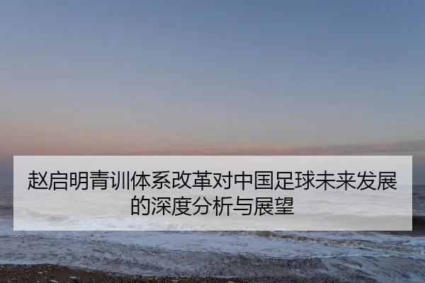 赵启明青训体系改革对中国足球未来发展的深度分析与展望