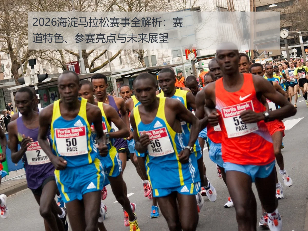 2026海淀马拉松赛事全解析:赛道特色、参赛亮点与未来展望