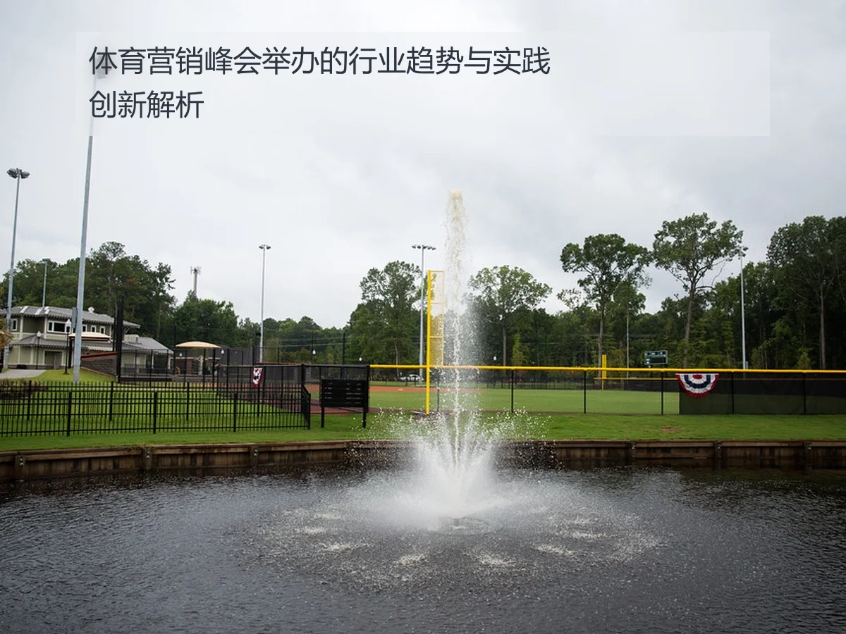 体育营销峰会举办的行业趋势与实践创新解析